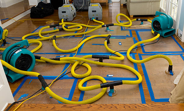 Professional Sewage Cleanup technician working in Inverness, IL